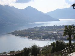       Briones Minusio