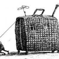 article685.jpg
