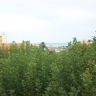      .  - 95.500 EUR -  (4)