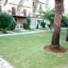    .  - 204.000 EUR -  (8)