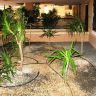           264.000 EUR -  (37)