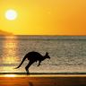 Taking Joey Home, Australia