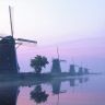 Keukenhof_The_Netherlands