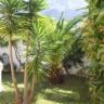     Montgo.  - 230.000 EUR -  (9)