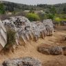 Nemea 002