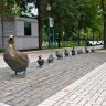Moscow (46)