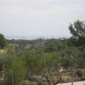    365.000 EUR -  (8)