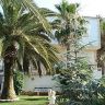     1.5   .  - 250.000 EUR -  (2)