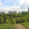 Moscow (78)