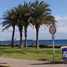    Torrevieja -  (7)
