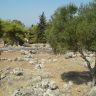 Nekromanteion [Preveza] 001