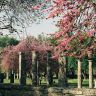 Olympia - Palaestra 005