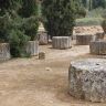 Nemea 003