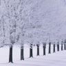 Glimmerglass State Park - -