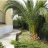   Sella Golf Resort.  - 242.000 EUR -  (11)